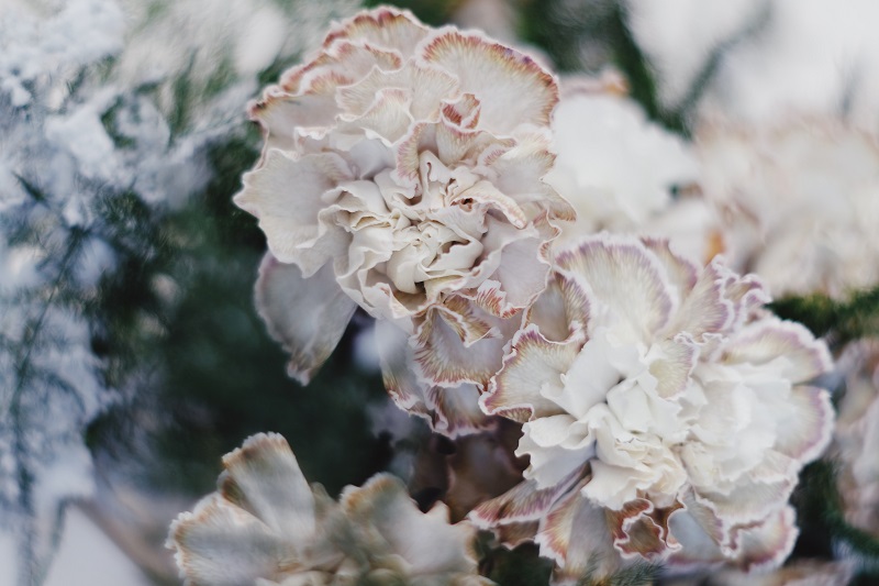 pexels-nadezhda-moryak-6395928.jpg
