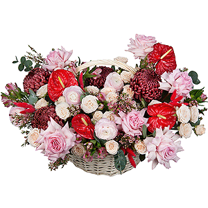 Velvet Passion with delivery Novokuznetsk
