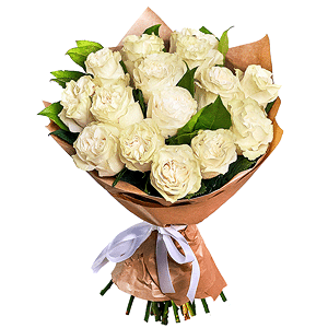 White rose 50 cm Ecuador - 21, Salal, Wrapping Paper