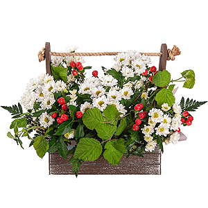 Strawberry Delight with delivery Novokuznetsk