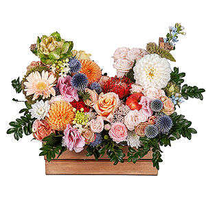 Orange Dahlia - 3, Rose Veggie 50 cm - 1, Peony sprayrose - 2, Spray rose: white, cream, light pink 50 cm - 3, Pink Lisianthus (Eustoma) - 2, Gerbera white - 5, Pink-orange rose Phoenix 50 cm - 4, Wooden pot, Oasis, Pistachio, Ozotamnus, Ornithogalum, Oksipetalum, Eryngium, Veronica spray, Celosia, Nutan, Apple, 1 pc.