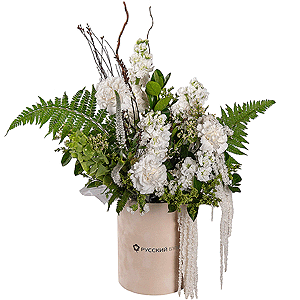 Kupala&rsquo;s Star with delivery Novokuznetsk