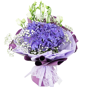 Blue/purple hydrangea - 3, lisianthus - 4, Gypsophila - 2, Wrapping Paper