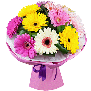 Playful gerberas with delivery Novokuznetsk