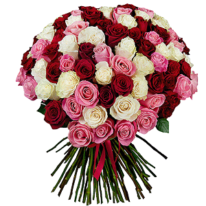 Bouquet of 101 multi-colored roses Premium Ecuador with delivery Novokuznetsk