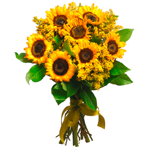 Sunflower - 15, Solidago (1 pc.), Salal, Ribbon