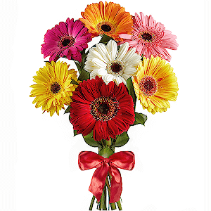 Bright Smile with delivery Novokuznetsk
