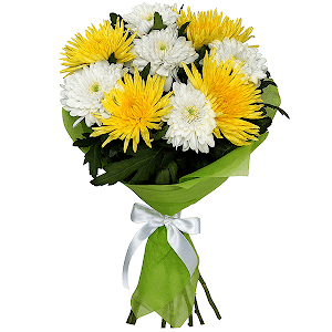Yellow chrysanthemum  single-headed Anastasia - 5, Magnum White Chrysanthemum - 6, Felt, Ribbon