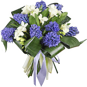 Aromatic Etude with delivery Novokuznetsk