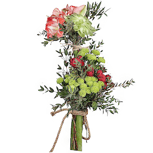 Red amaryllis - 3, Spray peony rose  - 3, Athos pom Feeling Green - 3, Echeveria small, Eucalyptus parvifolia (1 pc.), String 1 meter