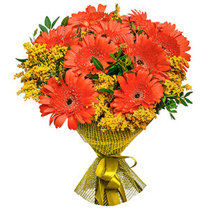 Gerbera daisies - 15, Solidago (1 pc.), Pistachio, Mesh (Abaka), Ribbon