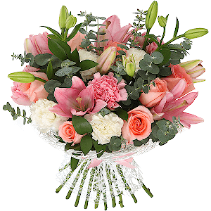 Solo with delivery Novokuznetsk