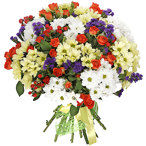 Wonderful valley with delivery Novokuznetsk