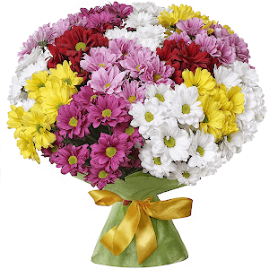 Rainbow with delivery Novokuznetsk