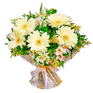 White Sun with delivery Novokuznetsk