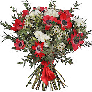 Exotic Anemones with delivery Novokuznetsk