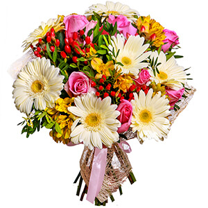 Сheerful Mind with delivery Novokuznetsk