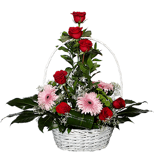 Refined Compliment with delivery Novokuznetsk