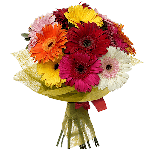 Splash of Emotions with delivery Novokuznetsk