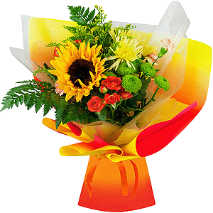 Golden sunset with delivery Novokuznetsk