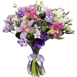 Arrangement of orchids and freesia with delivery Novokuznetsk