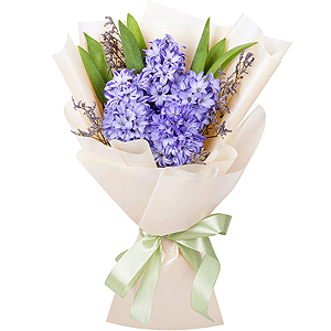 Honey aroma with delivery Novokuznetsk