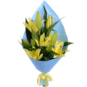 Yellow lily - 4, Wrapping Paper, Ribbon