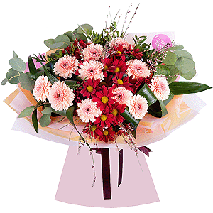 Diva with delivery Novokuznetsk