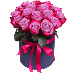 Violet roses with delivery Novokuznetsk
