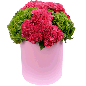 Hydrangeas in a hatbox with delivery Novokuznetsk