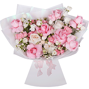 Aristocrat with delivery Novokuznetsk
