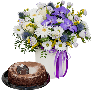 Fluffy cloud with cake with delivery Novokuznetsk