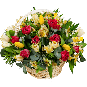 Spring swallow with delivery Novokuznetsk
