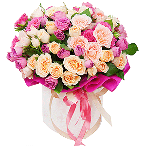 Colorful drops with delivery Novokuznetsk