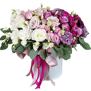Euphoria with delivery Novokuznetsk