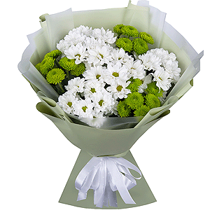 Chrysanthemums Waltz with delivery Novokuznetsk