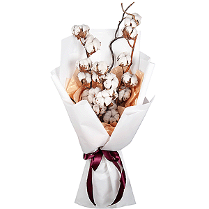 Cotton Bouquet with delivery Novokuznetsk
