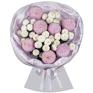 Lavender Cappuccino with delivery Novokuznetsk