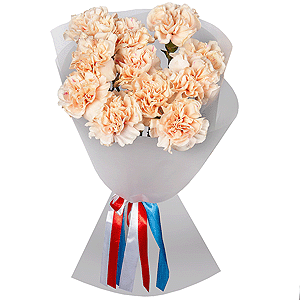 Carnation white, cream - 17, Wrapping Paper
