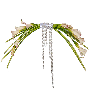 Pearl Harp with delivery Novokuznetsk