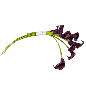Captivating passion with delivery Novokuznetsk