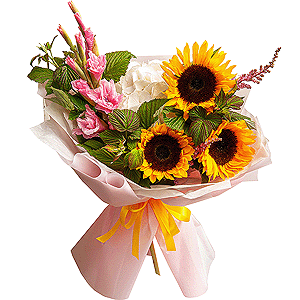 Back to School with delivery Novokuznetsk