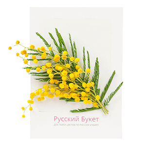 Handmade greeting card &laquo;Happy 8th March!&raquo; with delivery Novokuznetsk