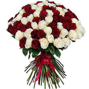 Bouquet of 101 red and white roses Ecuador Premium with delivery Novokuznetsk