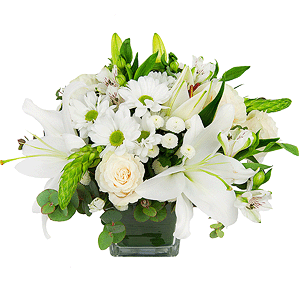 Lilies - 1, White rose 50 cm - 5, Bacardi White Spray Chrysanthemum - 2, Alstromeria white, soft pink - 3, Santini White Spray Chrysanthemum - 2, Transparent vase, Oasis, Ornithogalum, Eucalyptus Cinerea