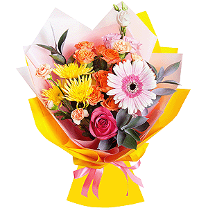 Bright stars with delivery Novokuznetsk