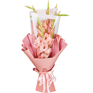 Pink Gladiolus - 7, Wrapping Paper, Ribbon