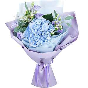 Viennese Waltz with delivery Novokuznetsk