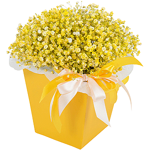 Golden Sands with delivery Novokuznetsk