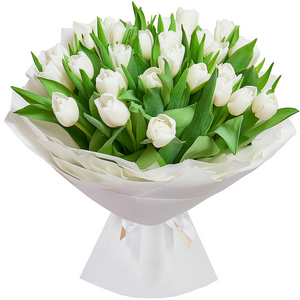 White tulips with delivery Novokuznetsk